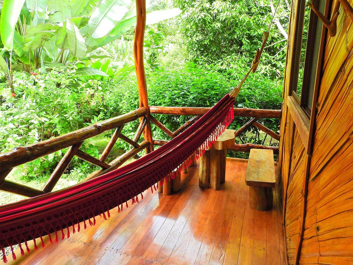 Puerto Misahuallí Rio Napo Lodge מראה חיצוני תמונה